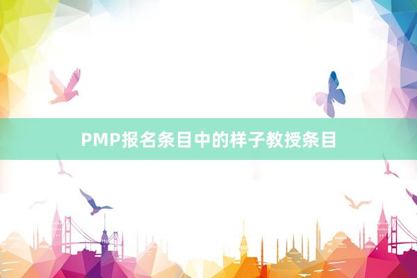 PMP报名条目中的样子教授条目