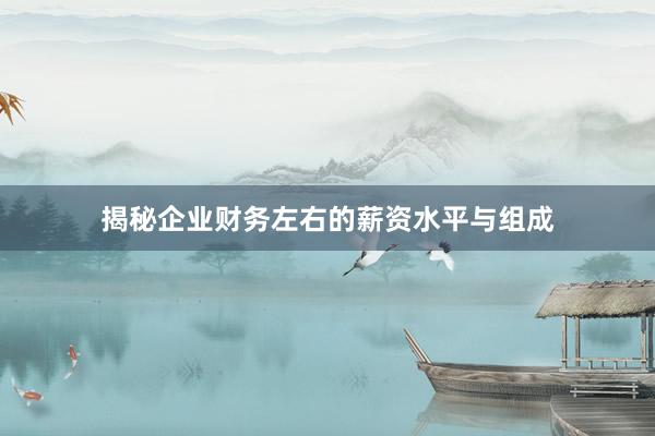 揭秘企业财务左右的薪资水平与组成