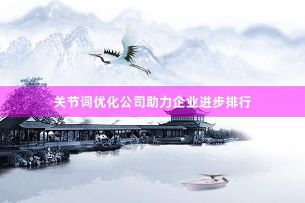 关节词优化公司助力企业进步排行